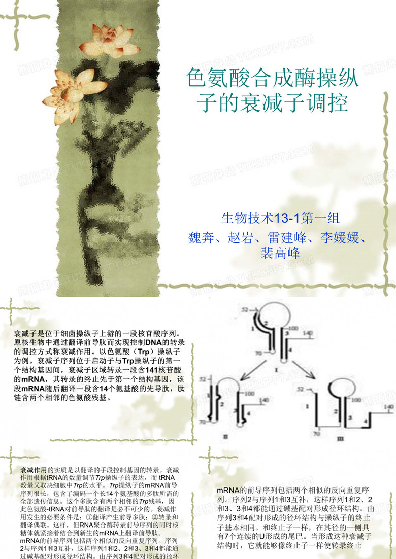 分子生物学