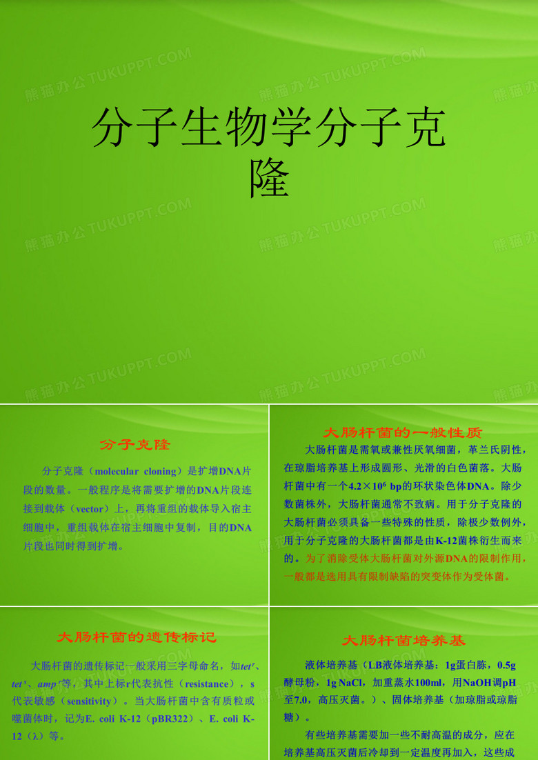 分子生物学分子克隆