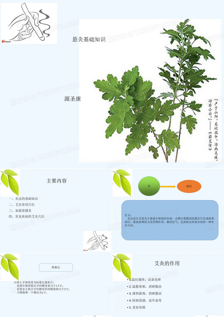 艾灸课件