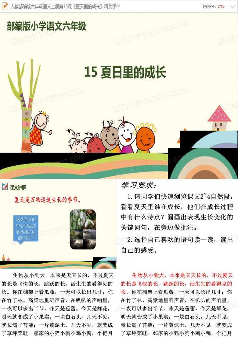 夏天里的成长