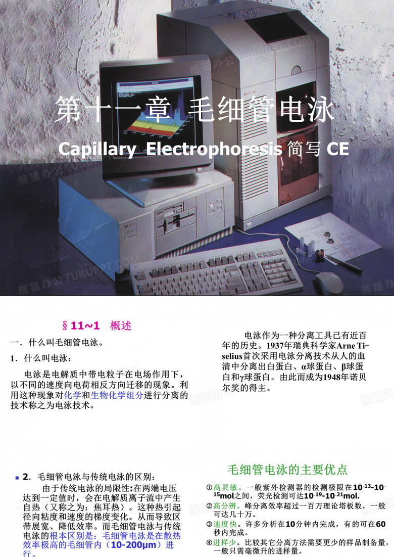向文胜毛细管电泳