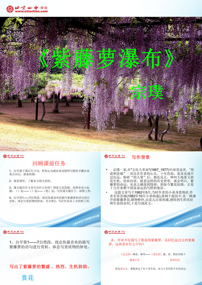 一棵小桃树