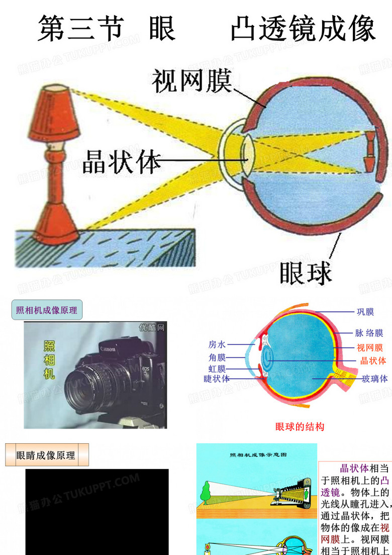 凸透镜成像