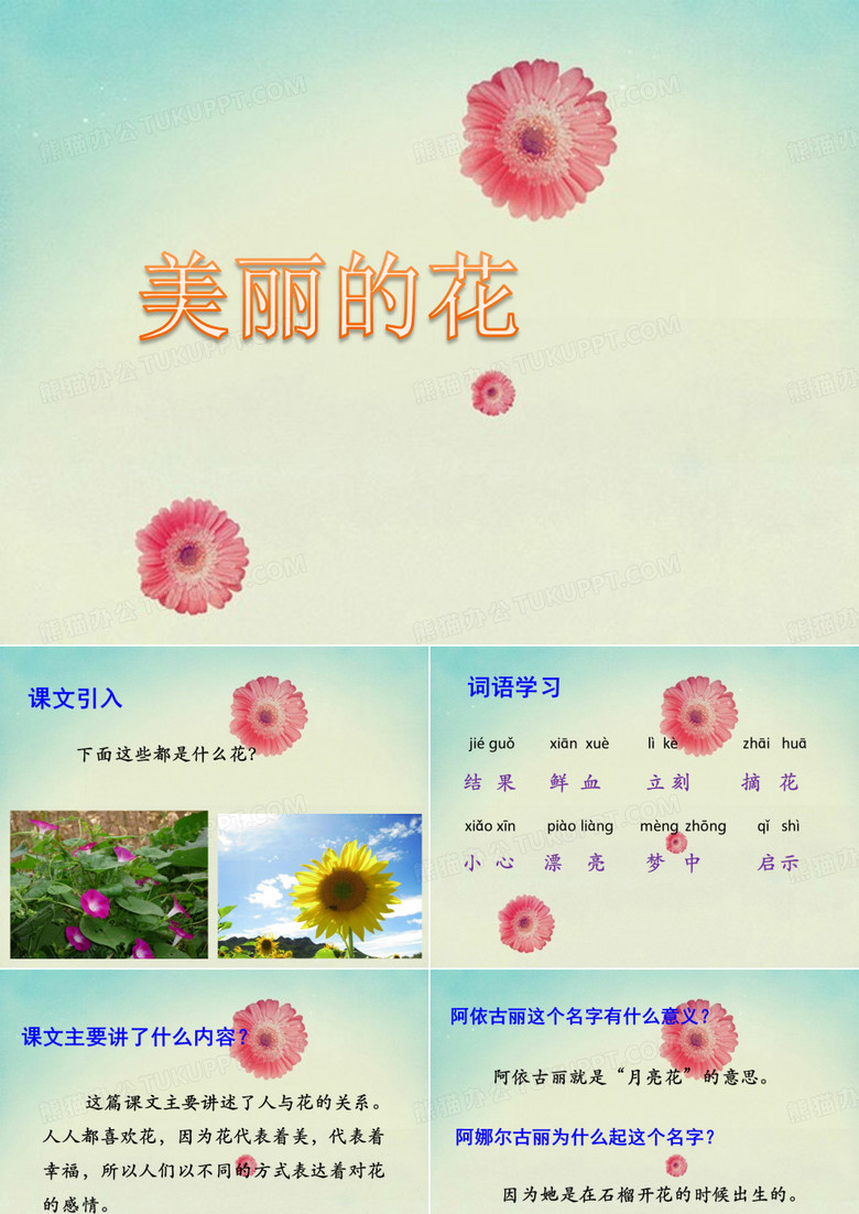 《美丽的花》课件