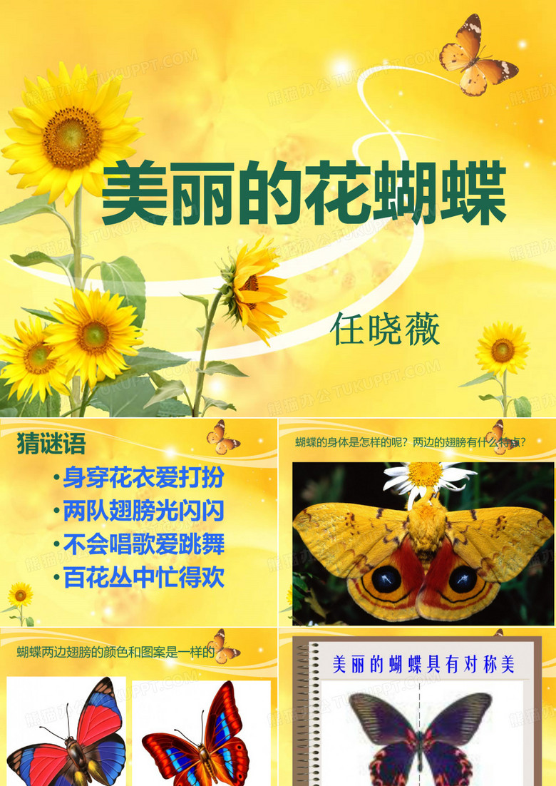 美丽的花蝴蝶