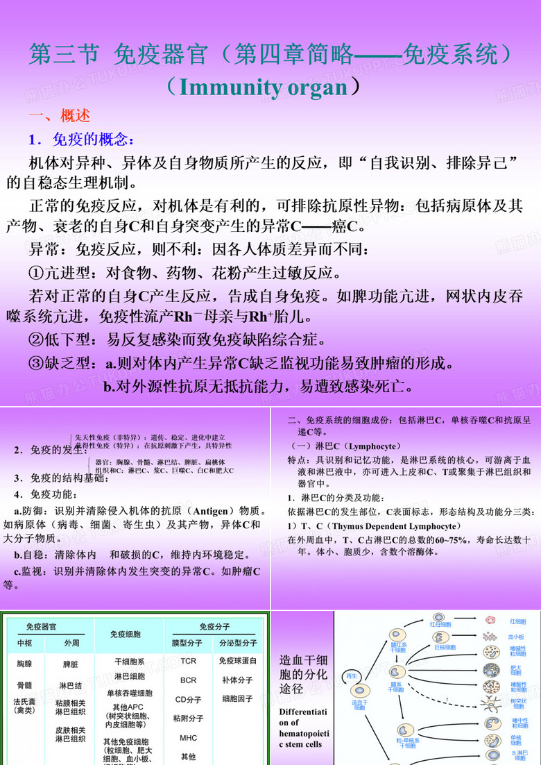 免疫系统