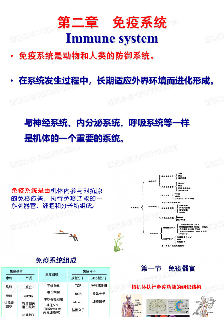 免疫系统