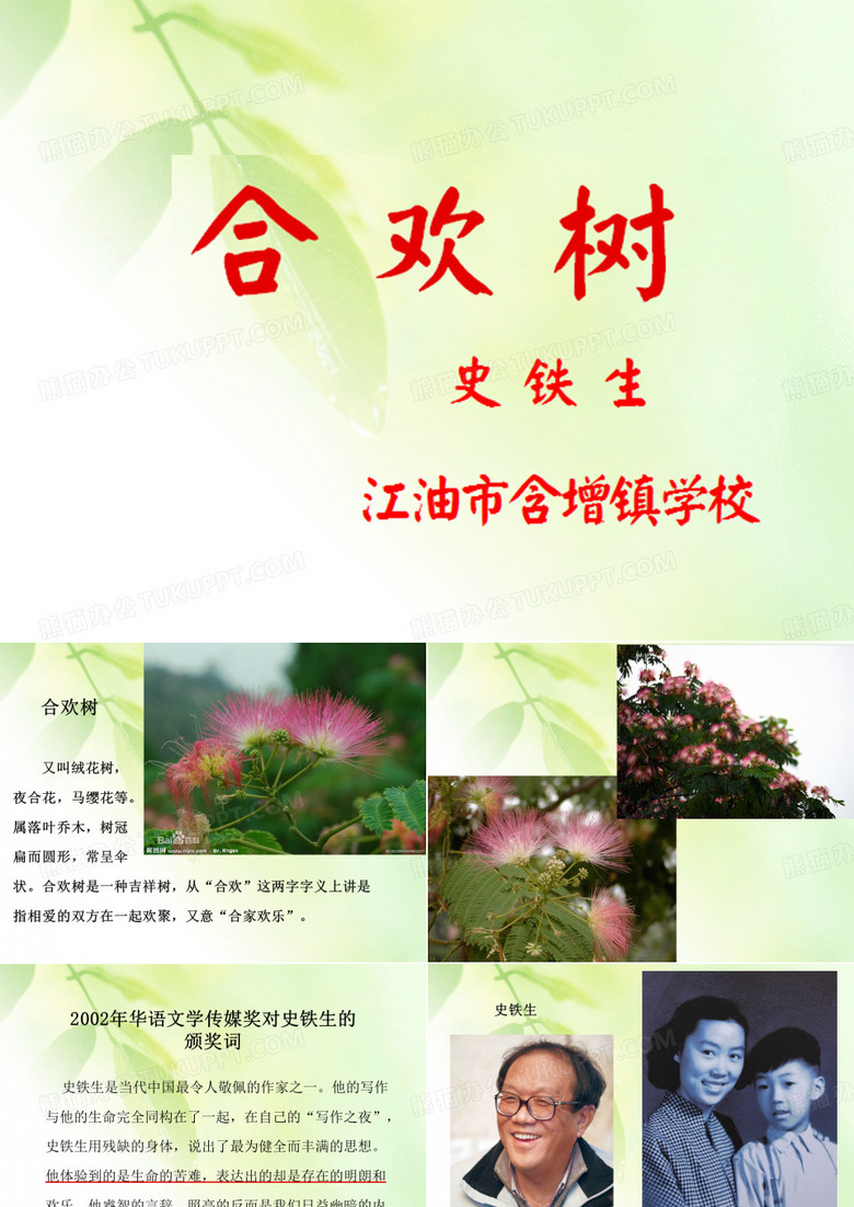 合欢树