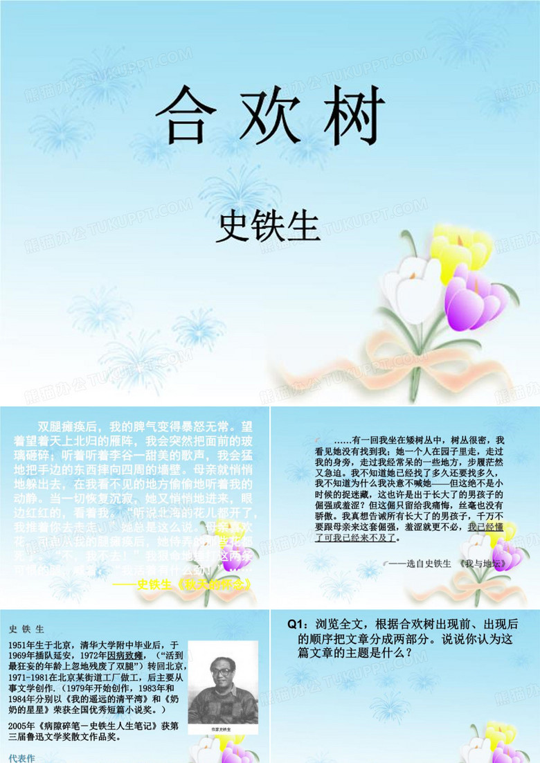 合欢树ppt