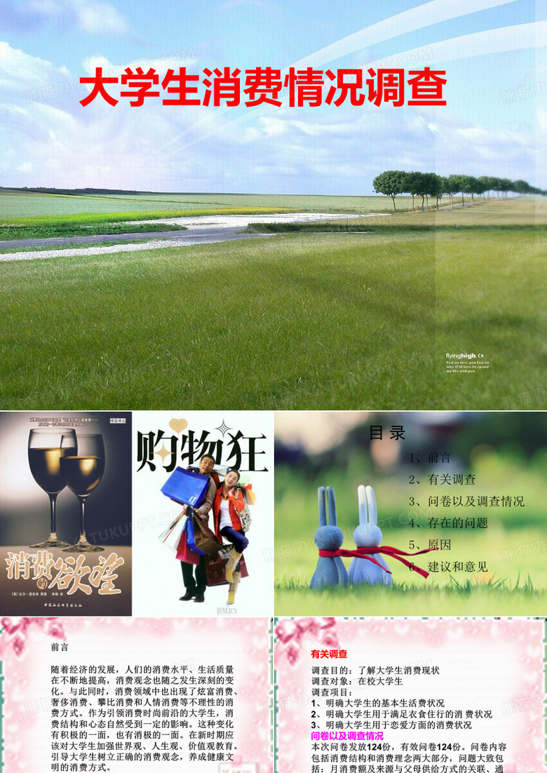大学生消费情况调查问卷.ppt