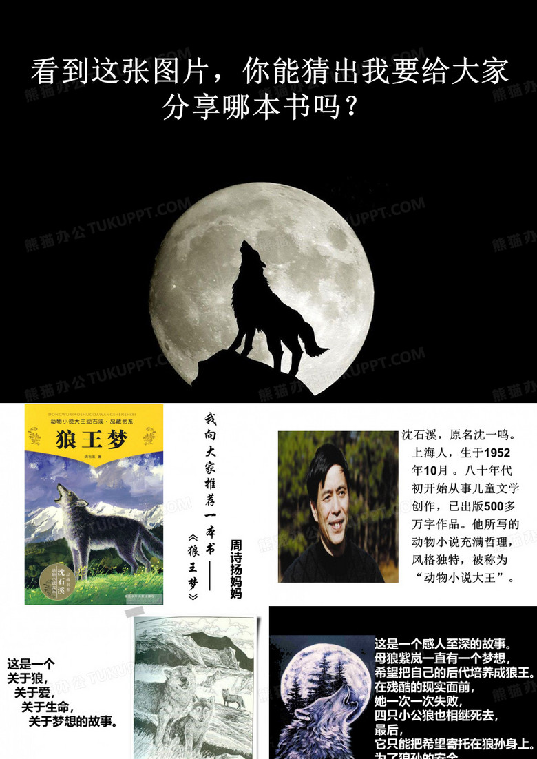 《狼王梦》解析