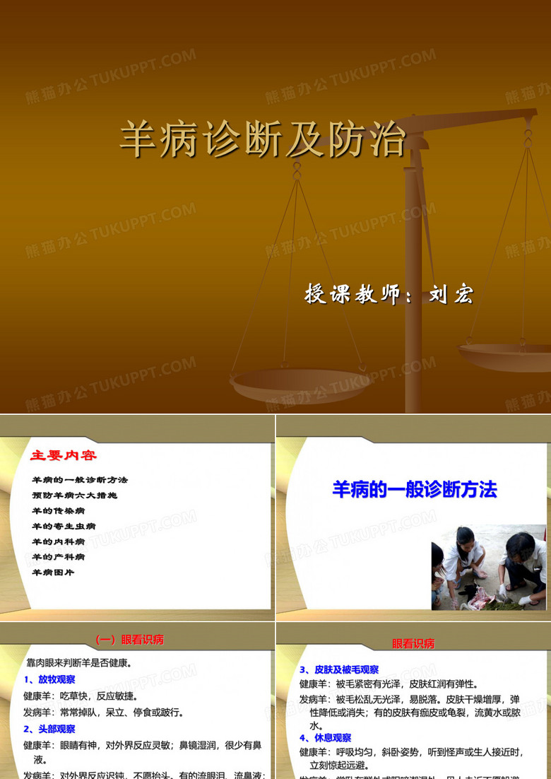 羊病诊断及防治