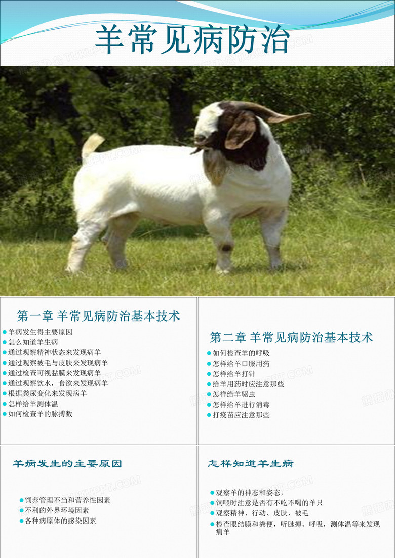 羊常见病的防治