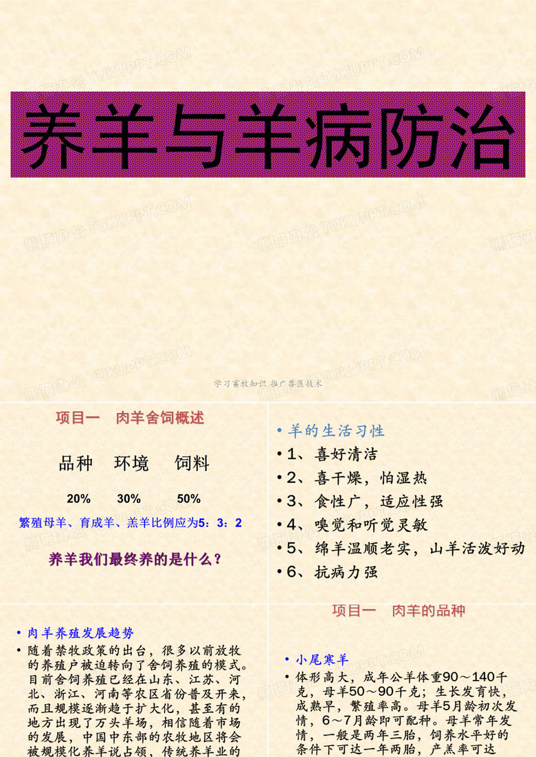 养羊与羊病防治技术