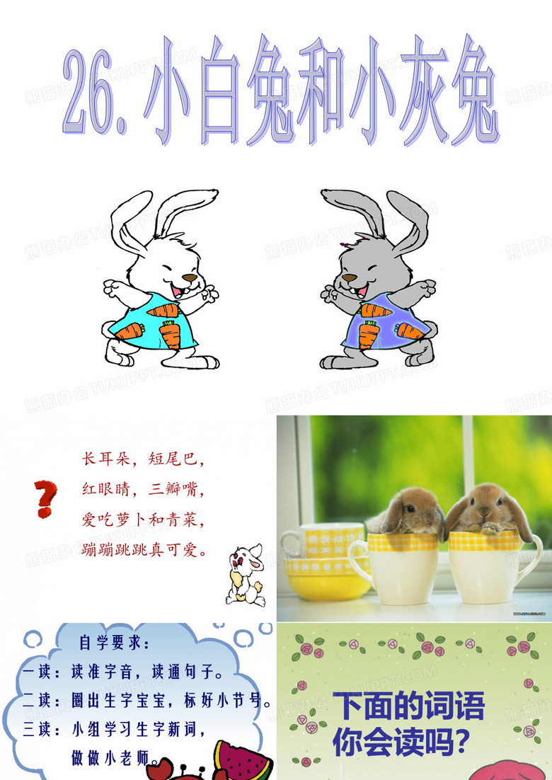 小白兔和小灰兔1