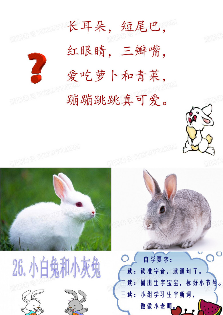 26、小白兔和小灰兔全ppt