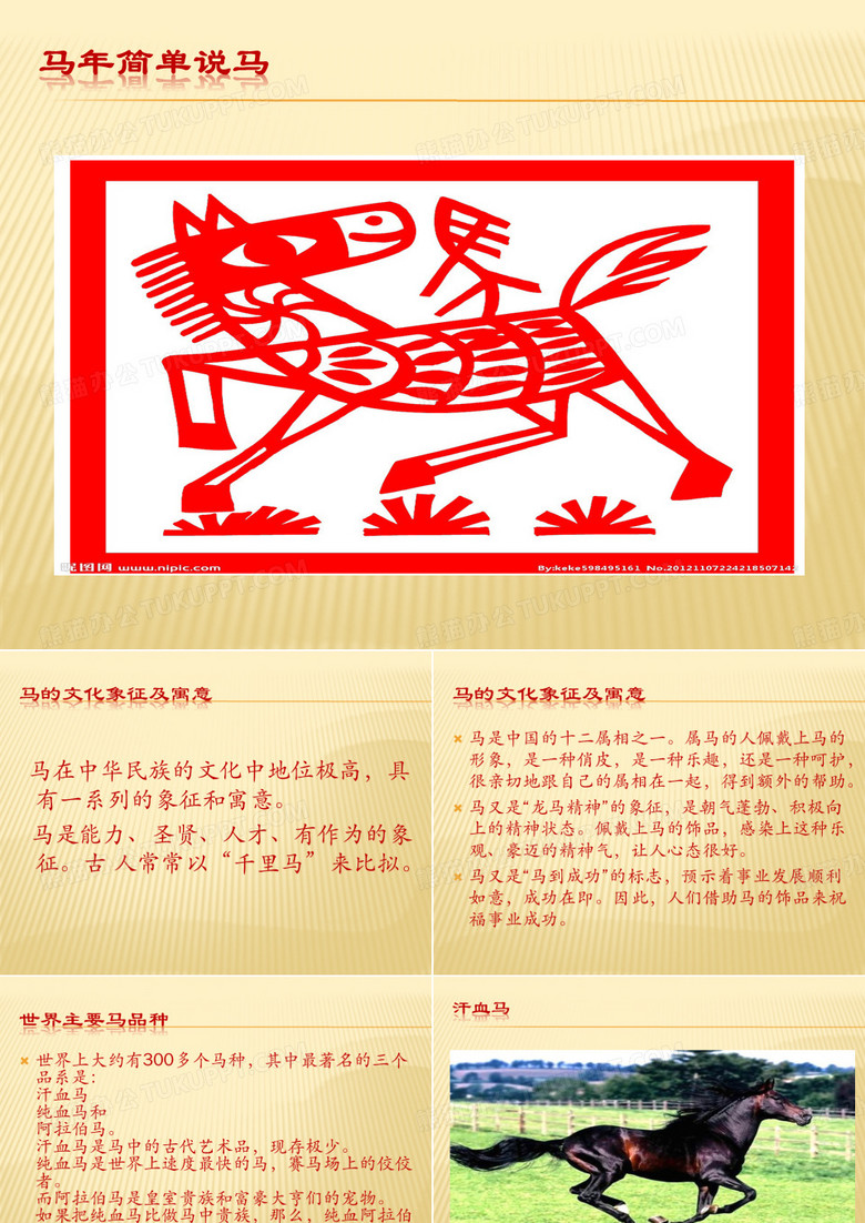 马-图腾