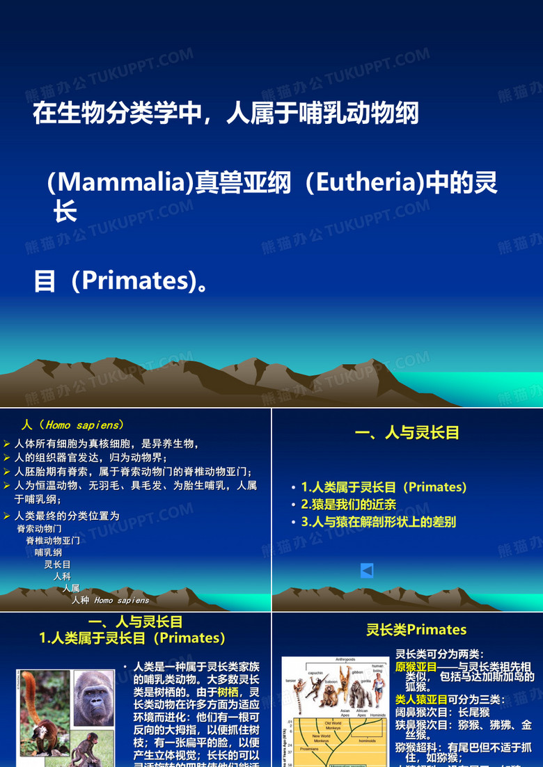 人类的进化