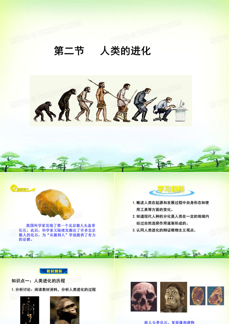 人类的进化