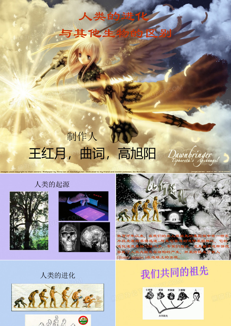 人类的进化