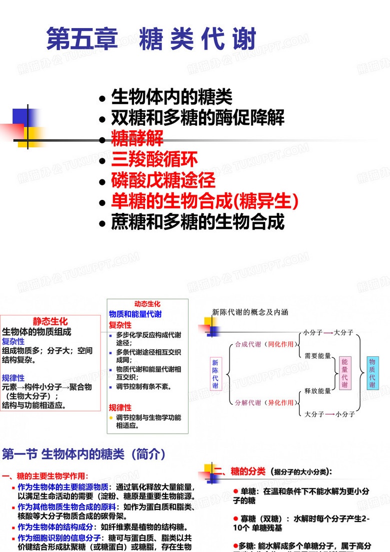 第五章 糖类与糖类代谢
