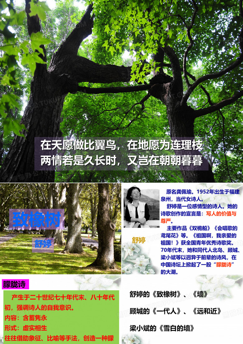 《致橡树》