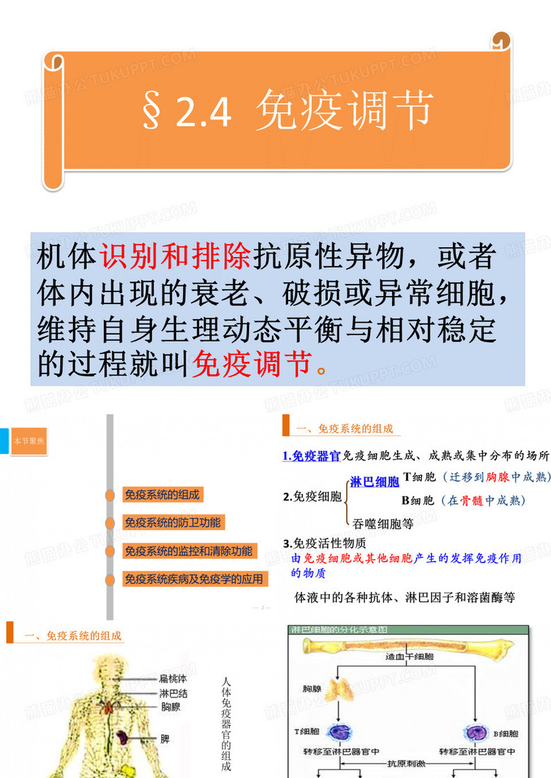 免疫调节