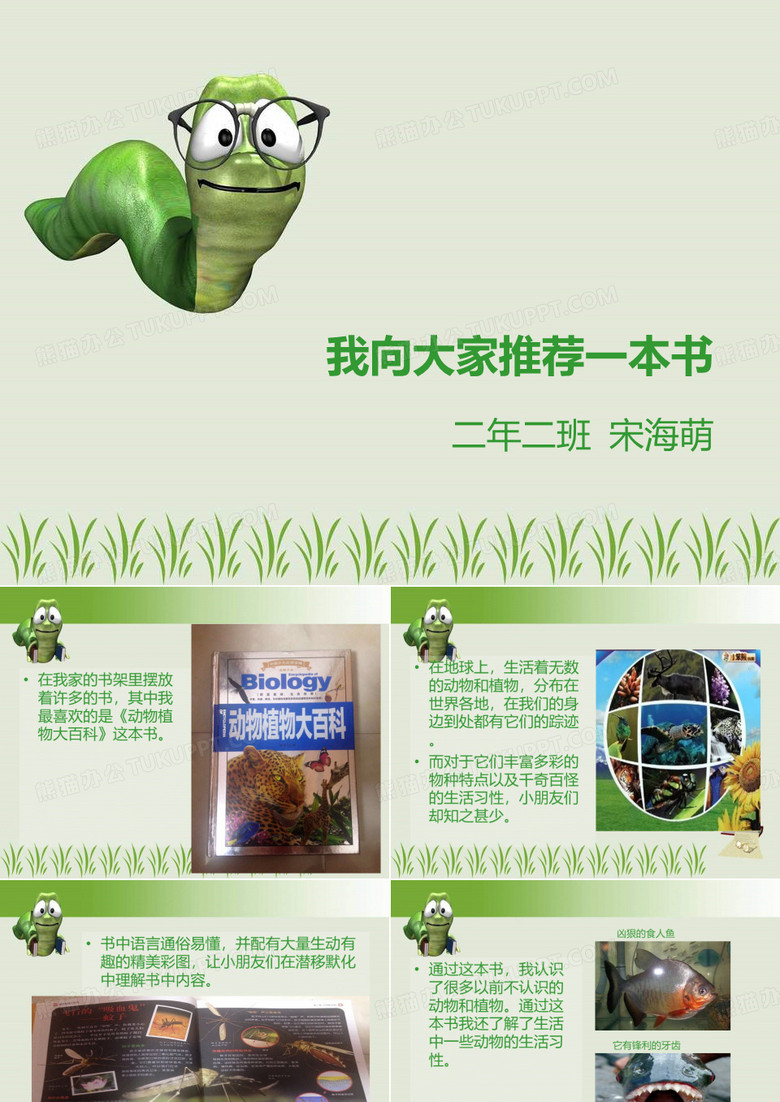 我向大家推荐一本书