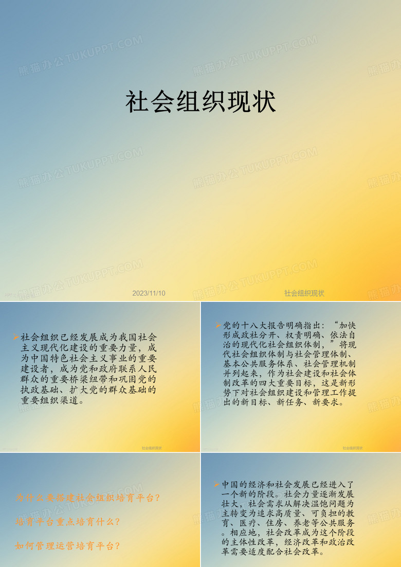 社会组织现状