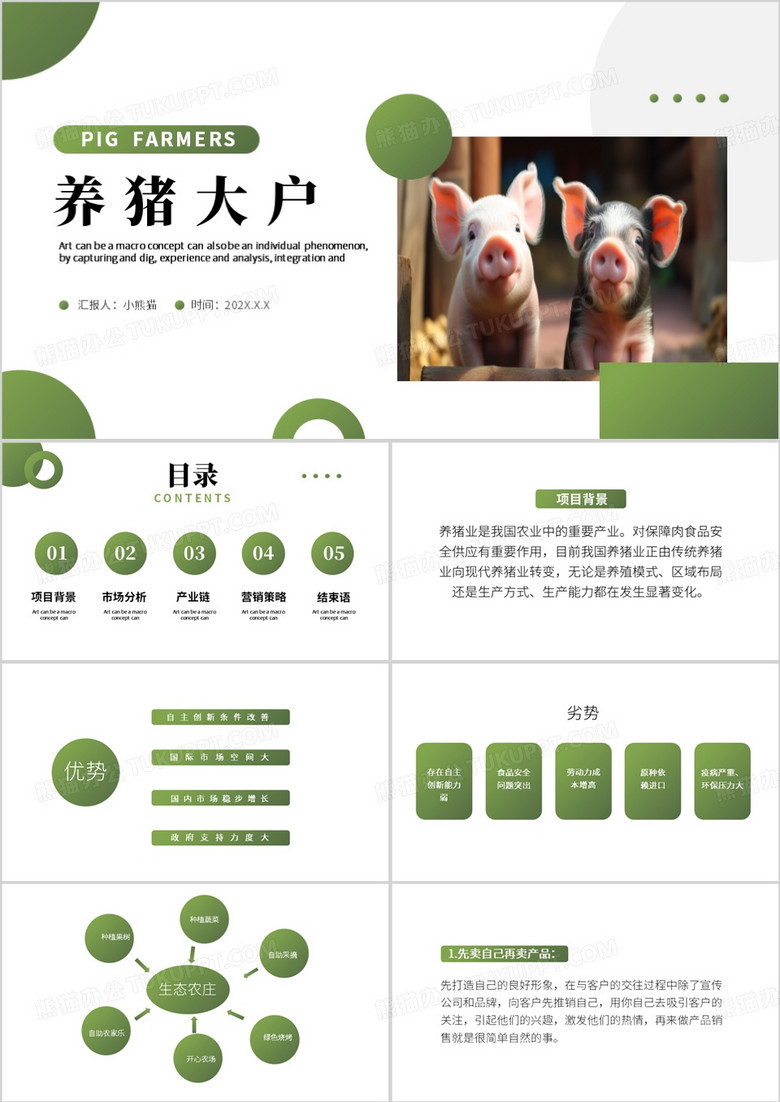 绿色简约风养猪大户PPT模板
