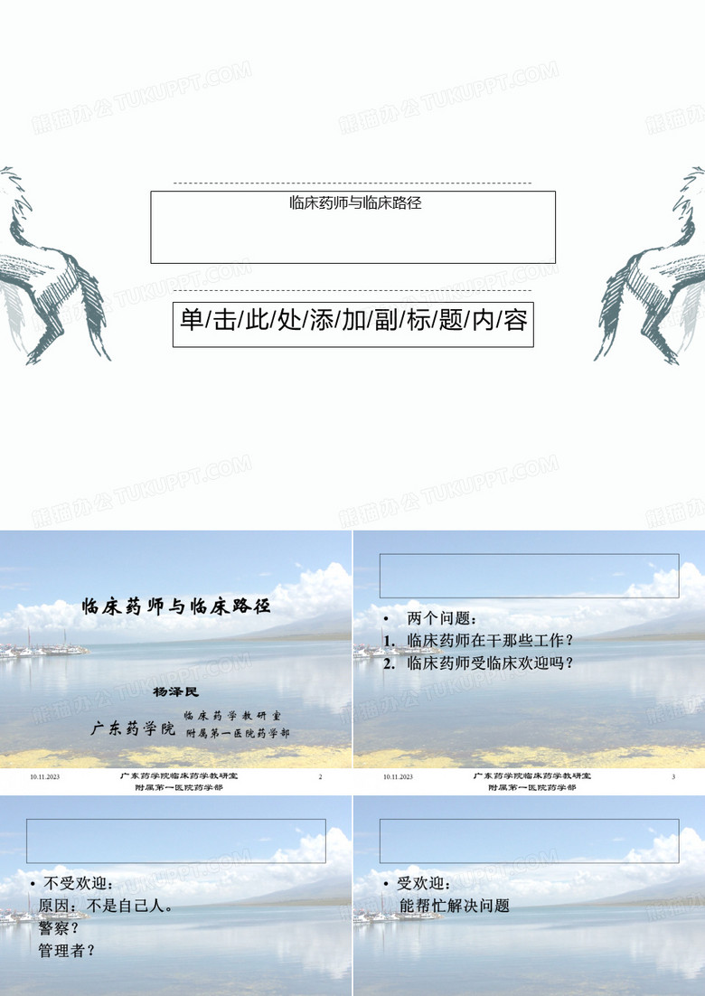 临床药师与临床路径