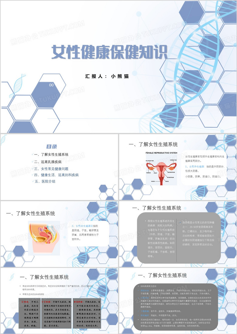 医院女性生殖健康保健知识PPT模板