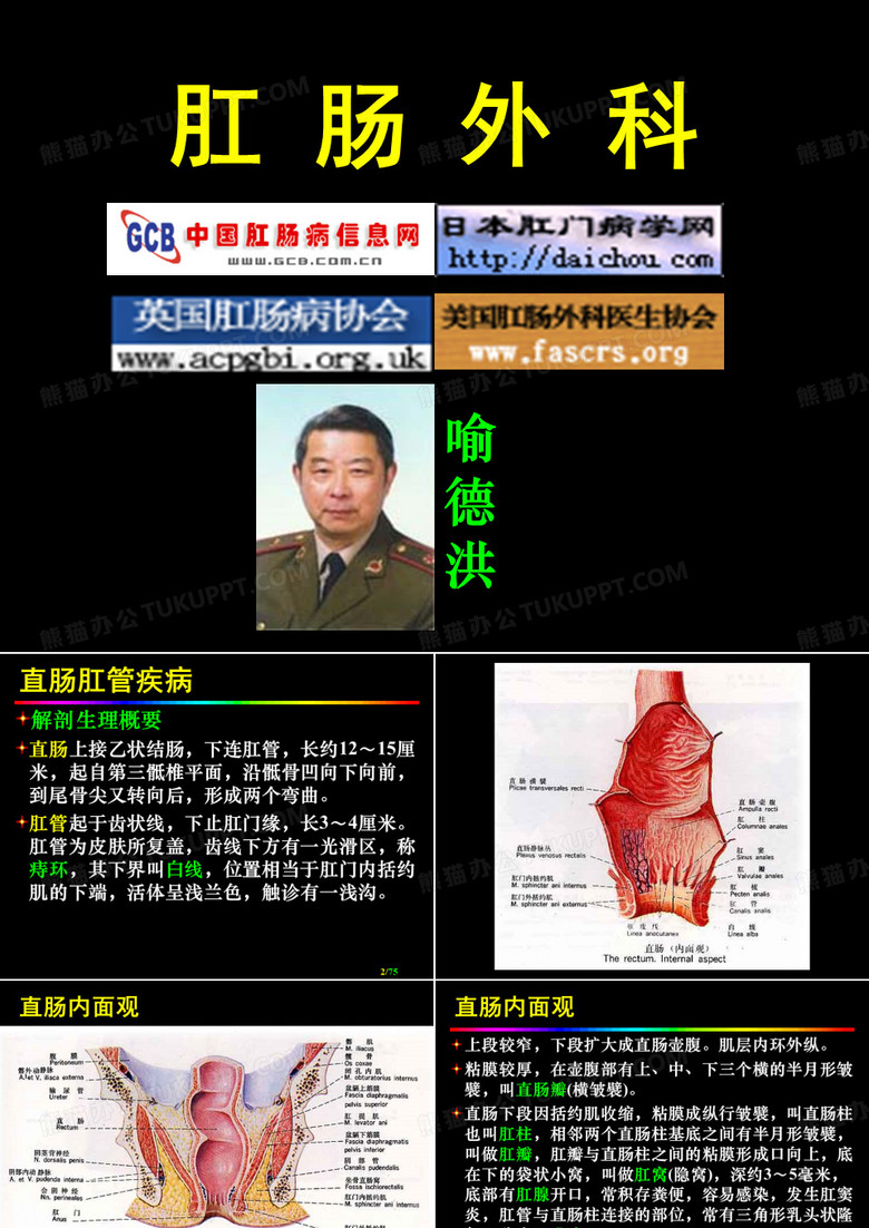 肛肠外科