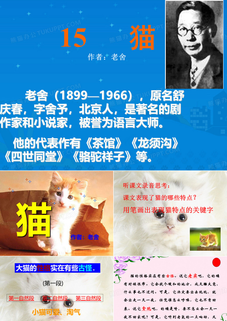 老舍《猫》 老舍《猫》