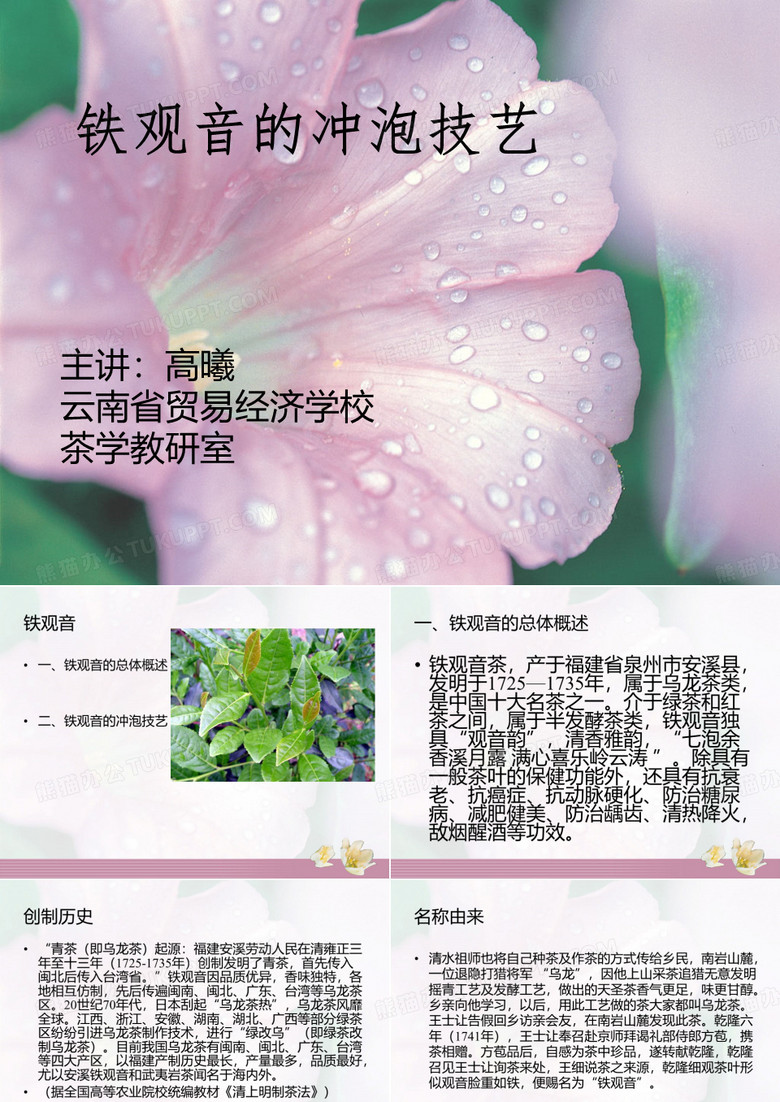 乌龙茶的冲泡