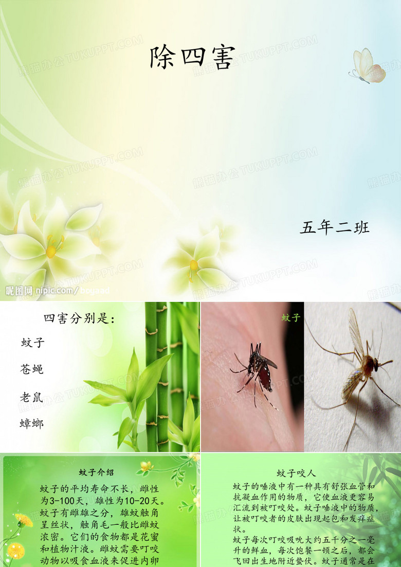 除四害