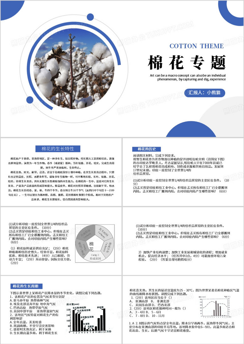 蓝色简约风棉花专题PPT模板