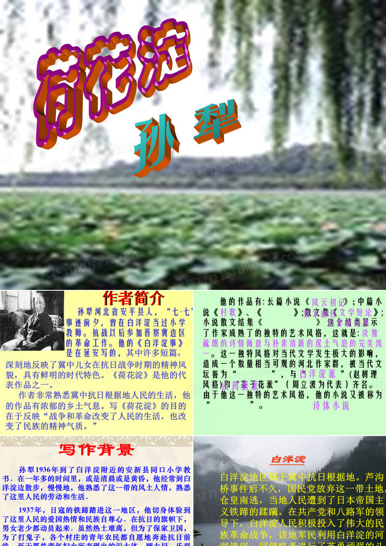荷花淀