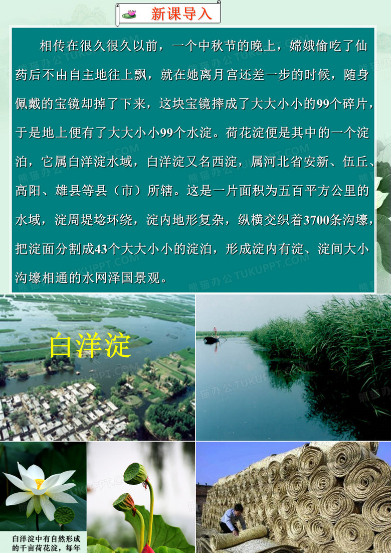 《荷花淀》
