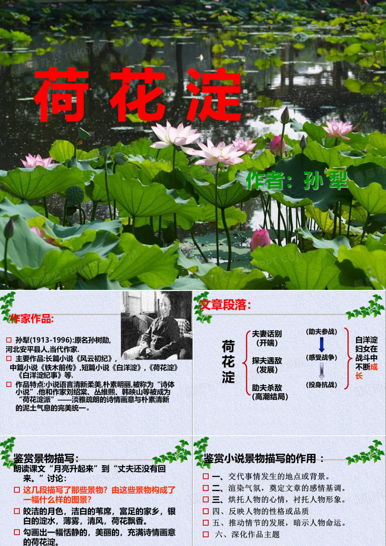 荷花淀