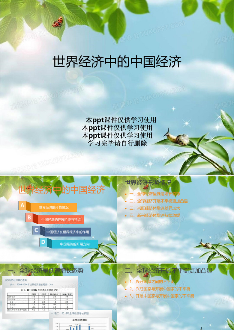 世界经济中的中国经济