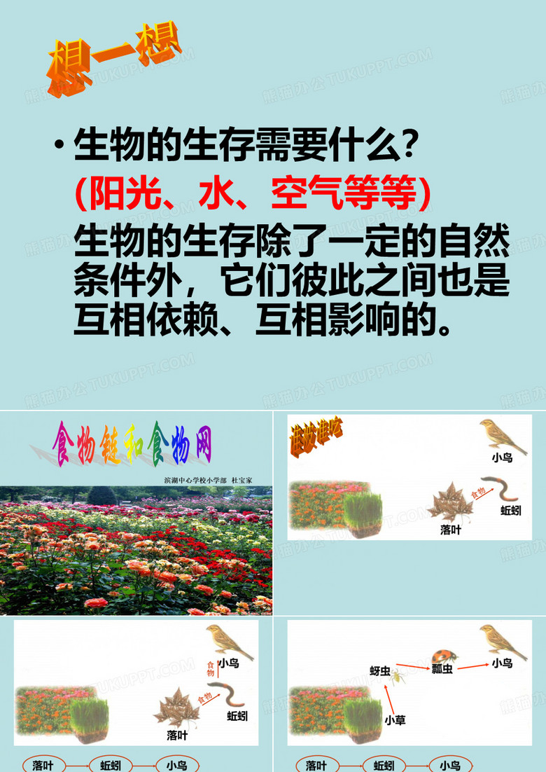 科学课PPT