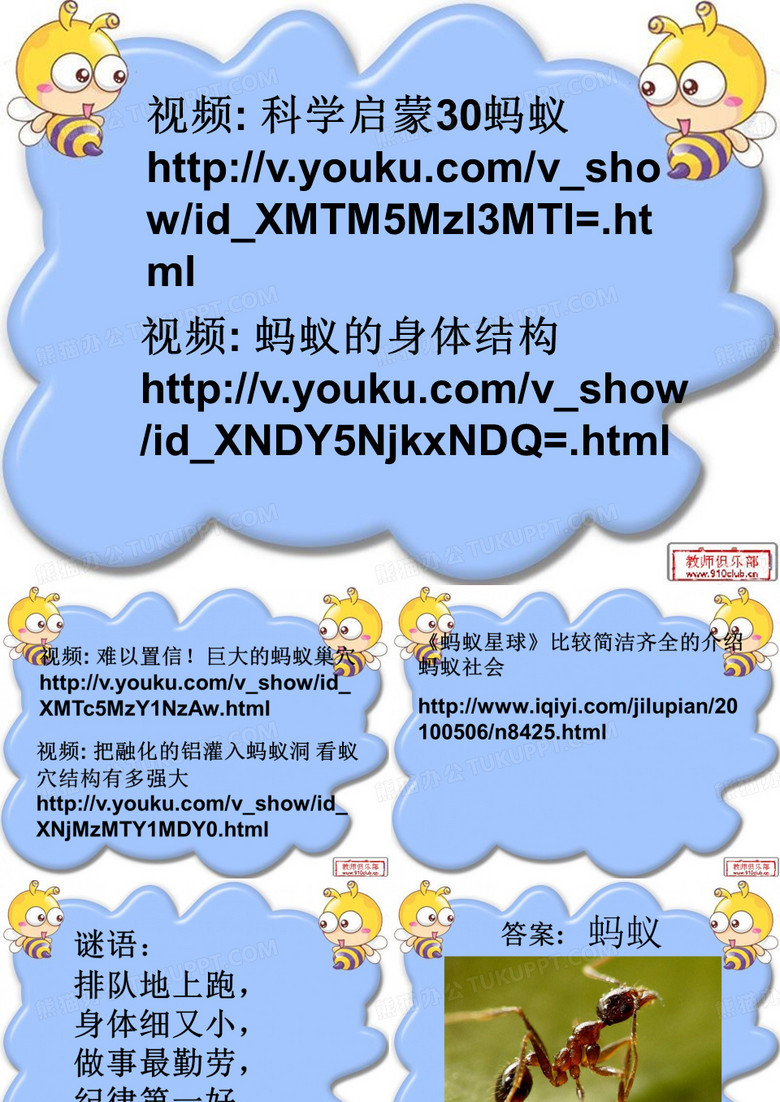 科学课《蚂蚁》