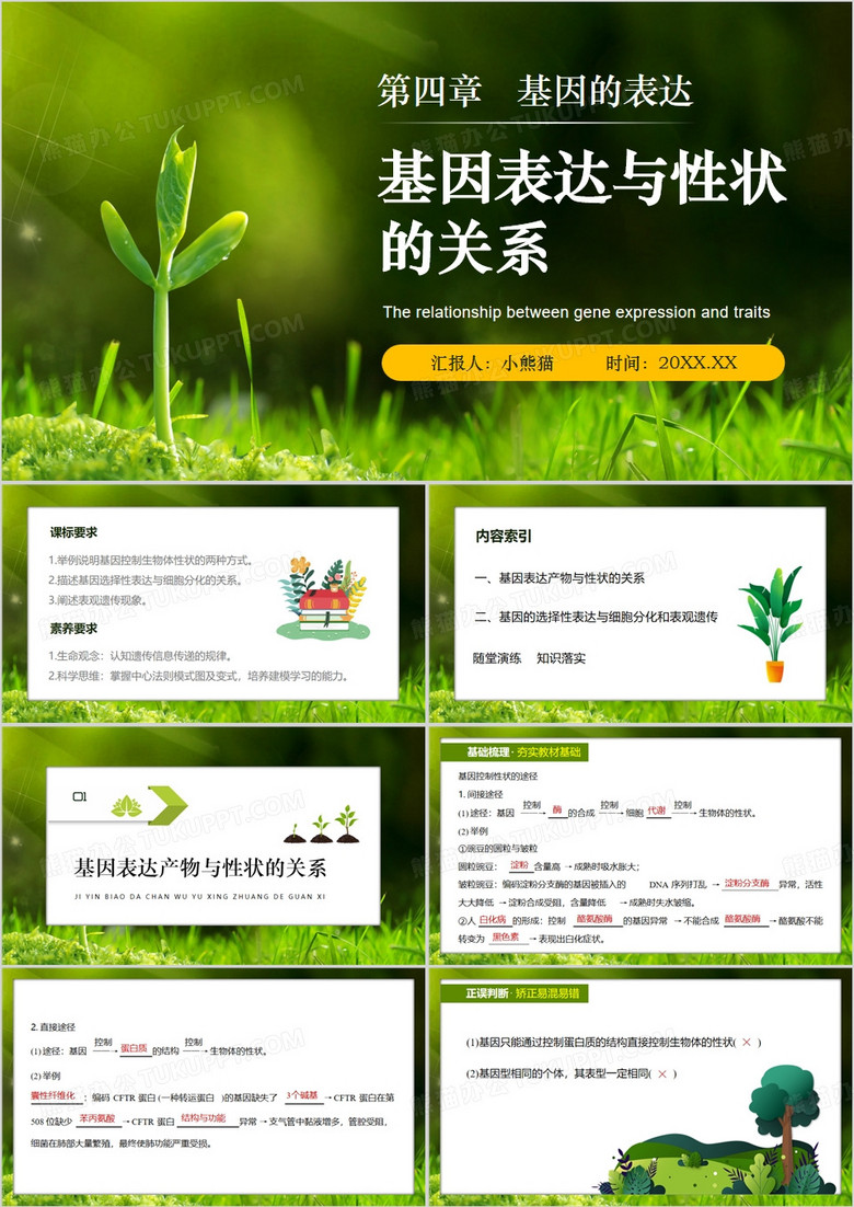 绿色简约风基因表达与性状的关系PPT模板