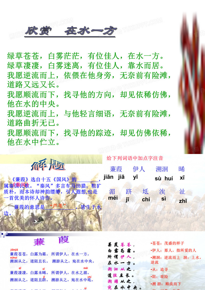 2013年最新初中语文精品教学课件：《诗经两首》蒹葭