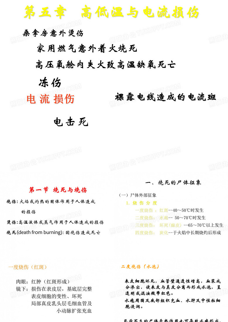 法医学