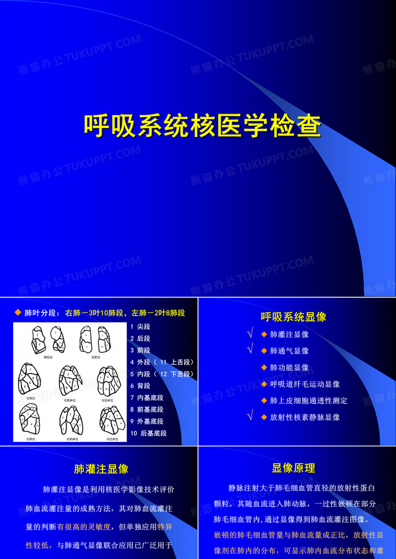 呼吸系统