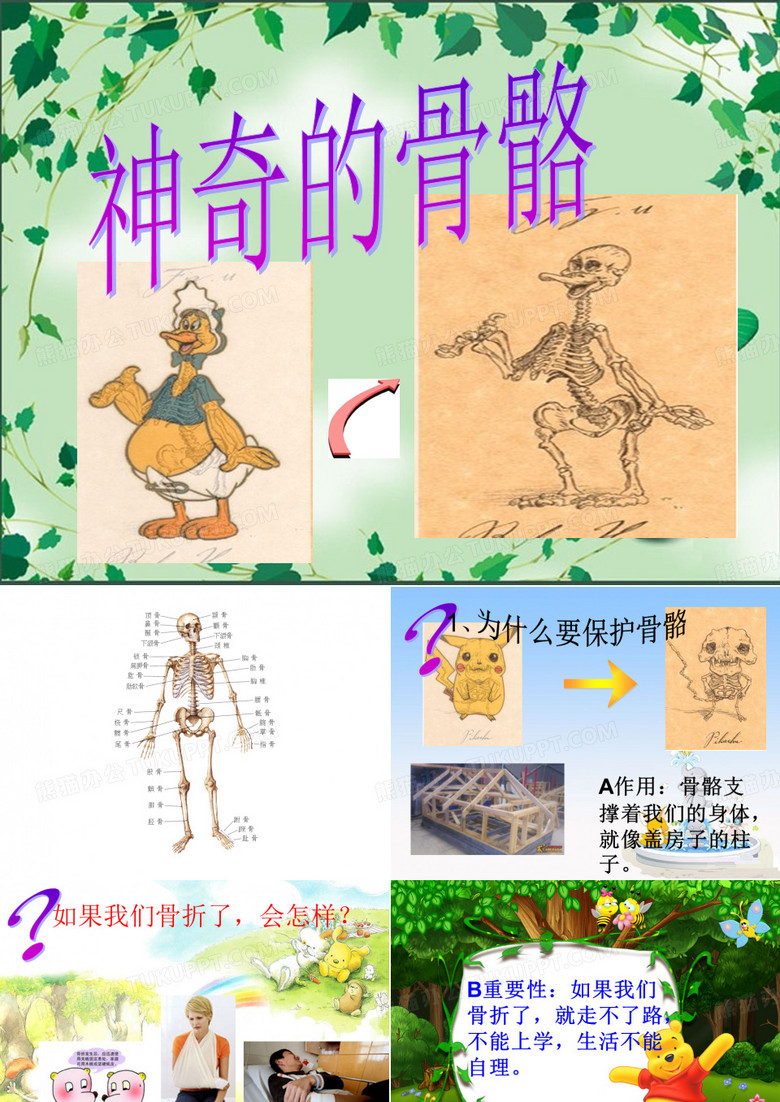 神奇的骨骼