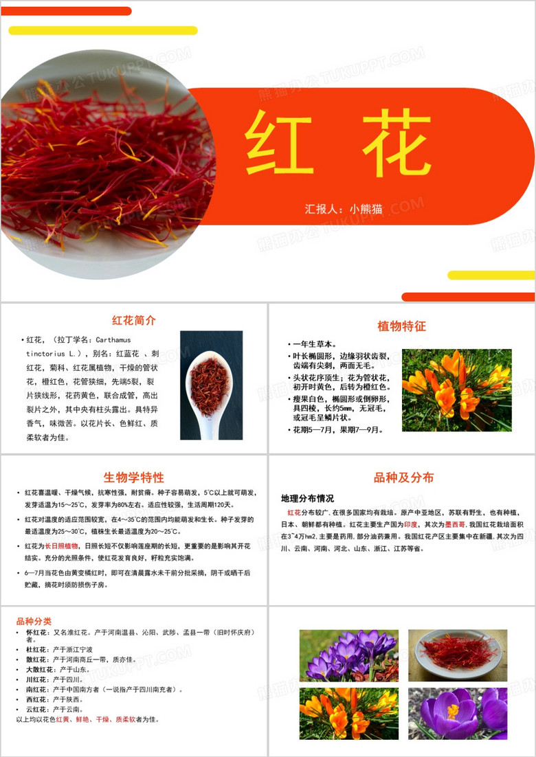 简约风藏红花介绍PPT模板