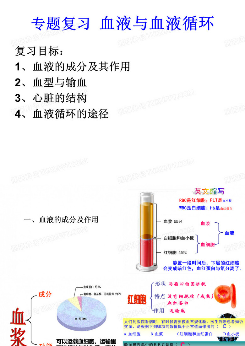 血液与血液循环